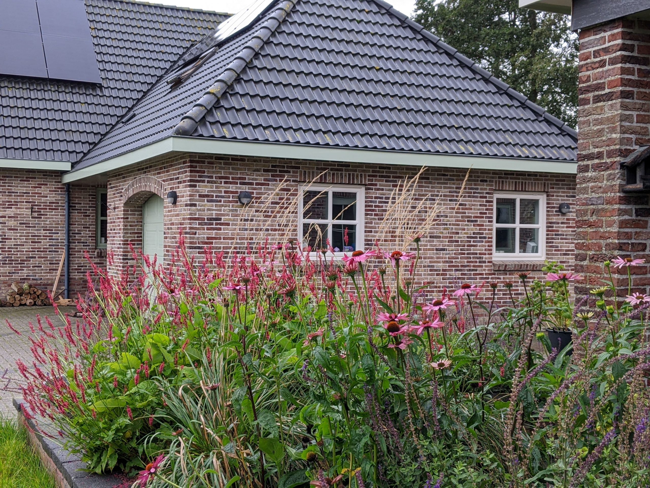 kleurrijke beplanting
