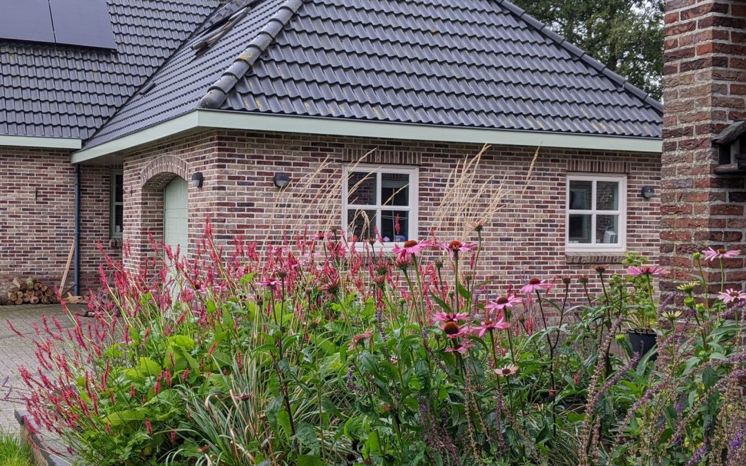 Natuurlijke kleurrijke tuin Jubbega
