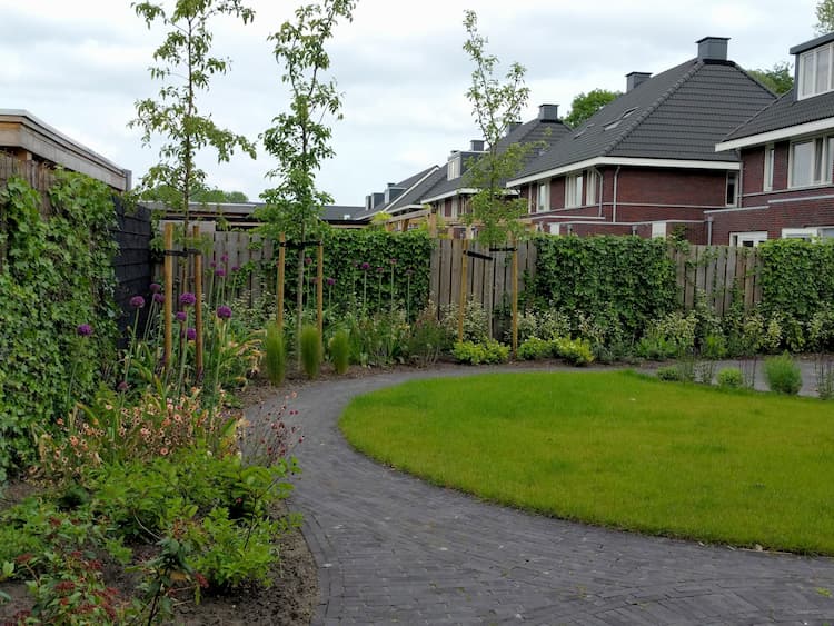 Het koud krijgen Tegenstander Inloggegevens Natuurlijke tuin met ronde vormen in Haren