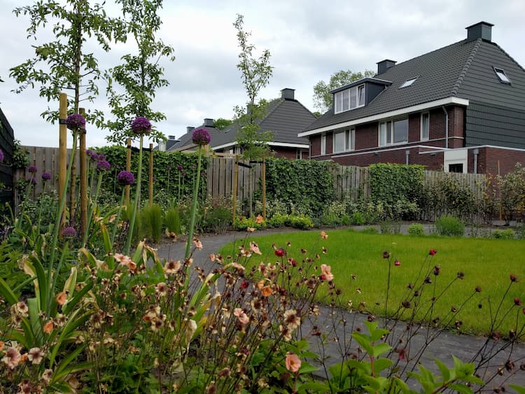 Tuin met ronde vormen Haren