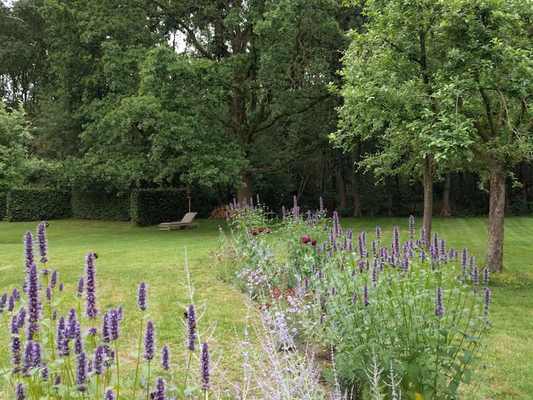 Natuurlijke tuin Jonkersvaart (privétuin)