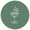 Werkwijze ontwerp en beplantingsplan