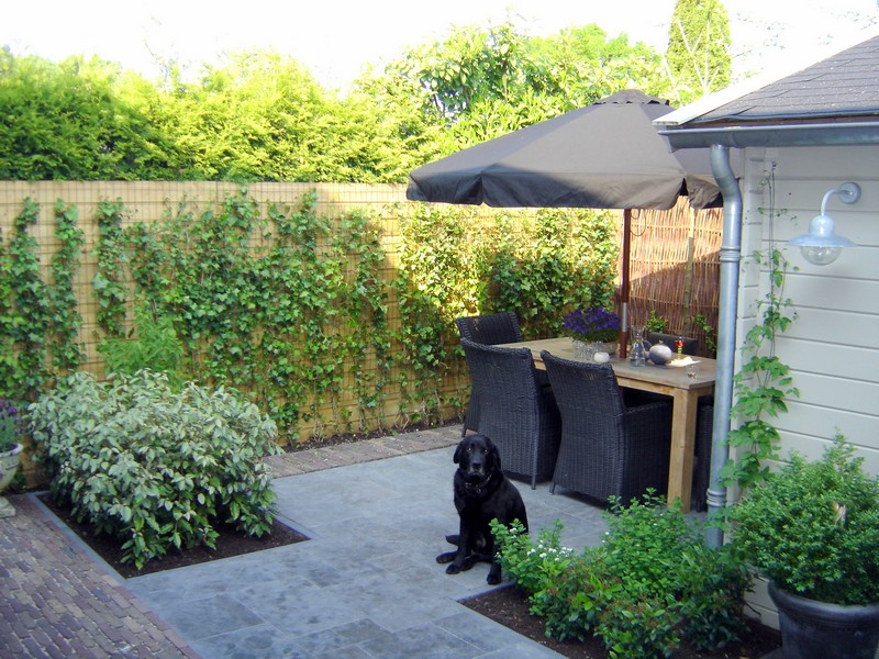 tuinen drenthe strakke tuin mijdrecht tuinontwerp groningen friesland tuinen drenthe strakke tuin mijdrecht tuinontwerp groningen friesland