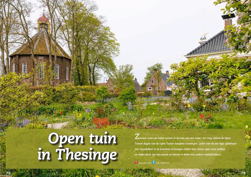 Tuin in Thesinge - Artikel in het tijdschrift Blad