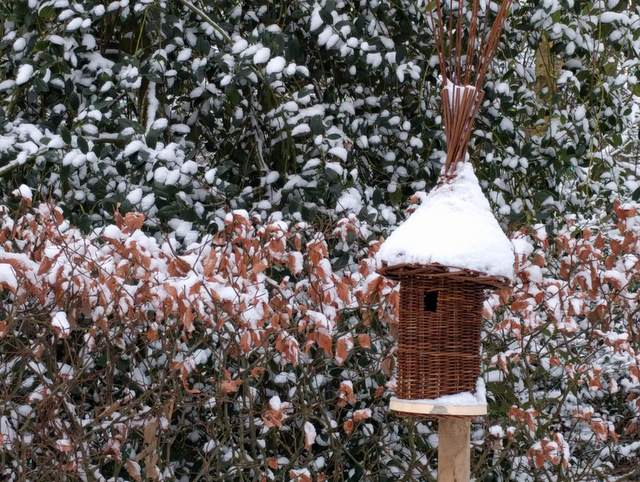 Planten beschermen bij vorst